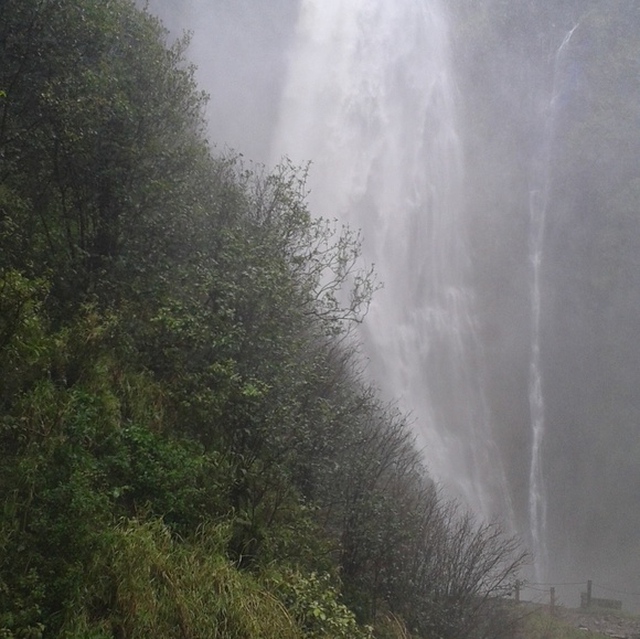 Meet your Posher, Maria - Picture 1 of 1